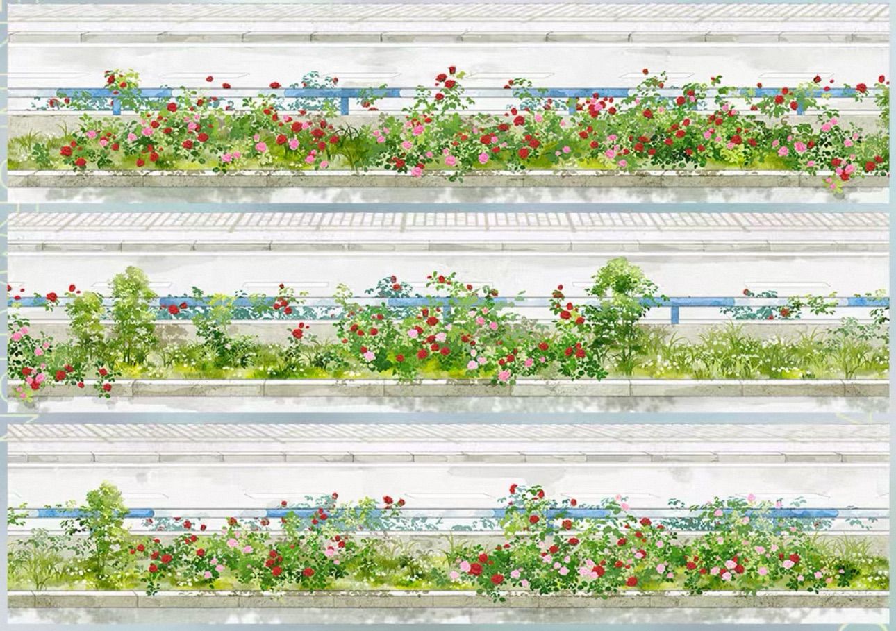  PET 街道边 6 5 cm m 62 loop 海外マスキングテープ 海外マステ 花壇 歩道 マスキングテープ テープ マスキングテープ