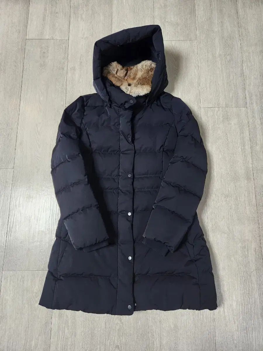 HAZZYS レディース グースダウン 90 55半