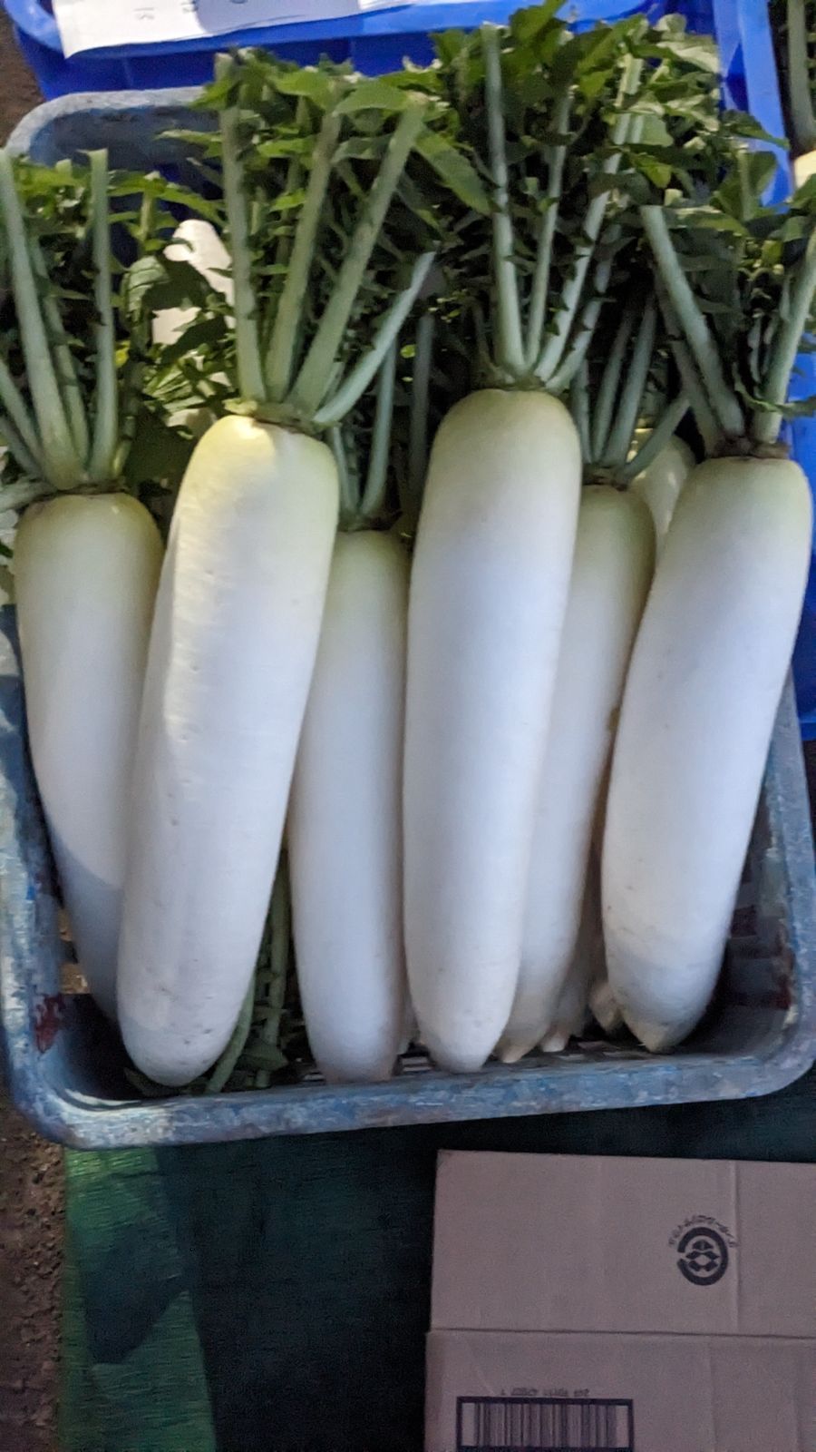 CHANEL クッション グレー ブラック スコットランド製 美品