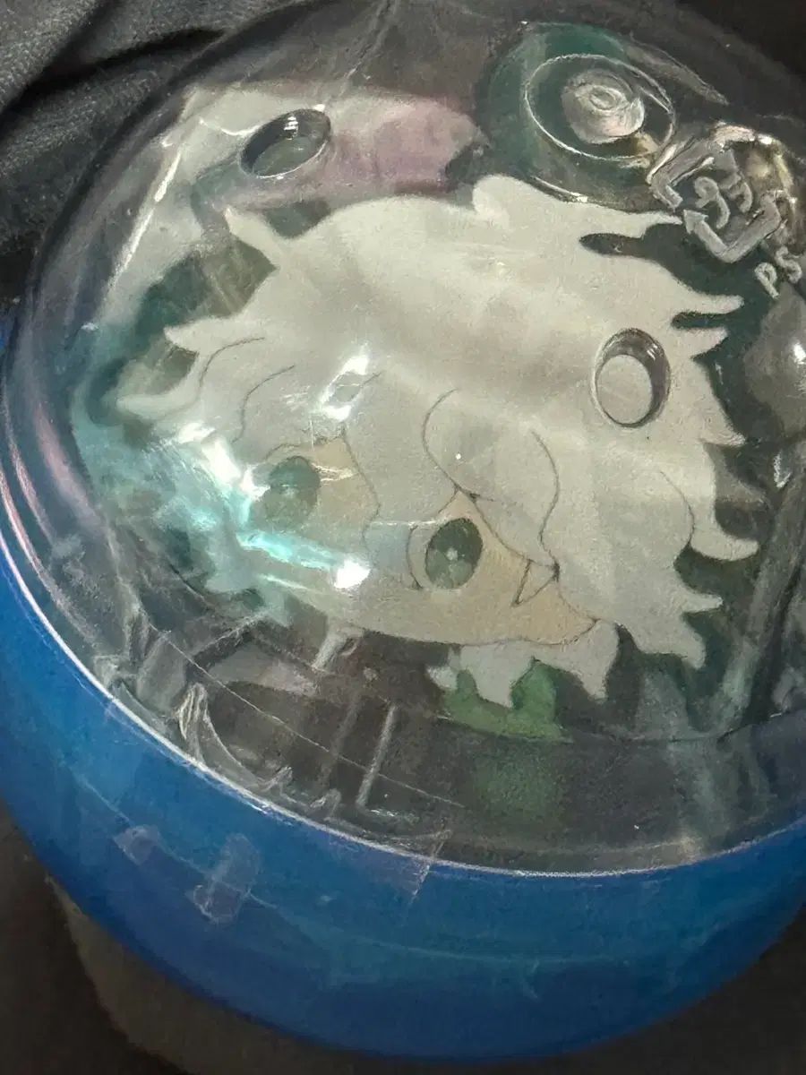 日曜日まで限定セール 昆虫標本