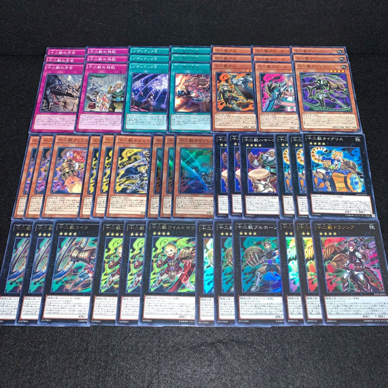 遊戯王 KYP548 十二獣デッキ デッキパーツ 十二獣ドランシア 十二獣 