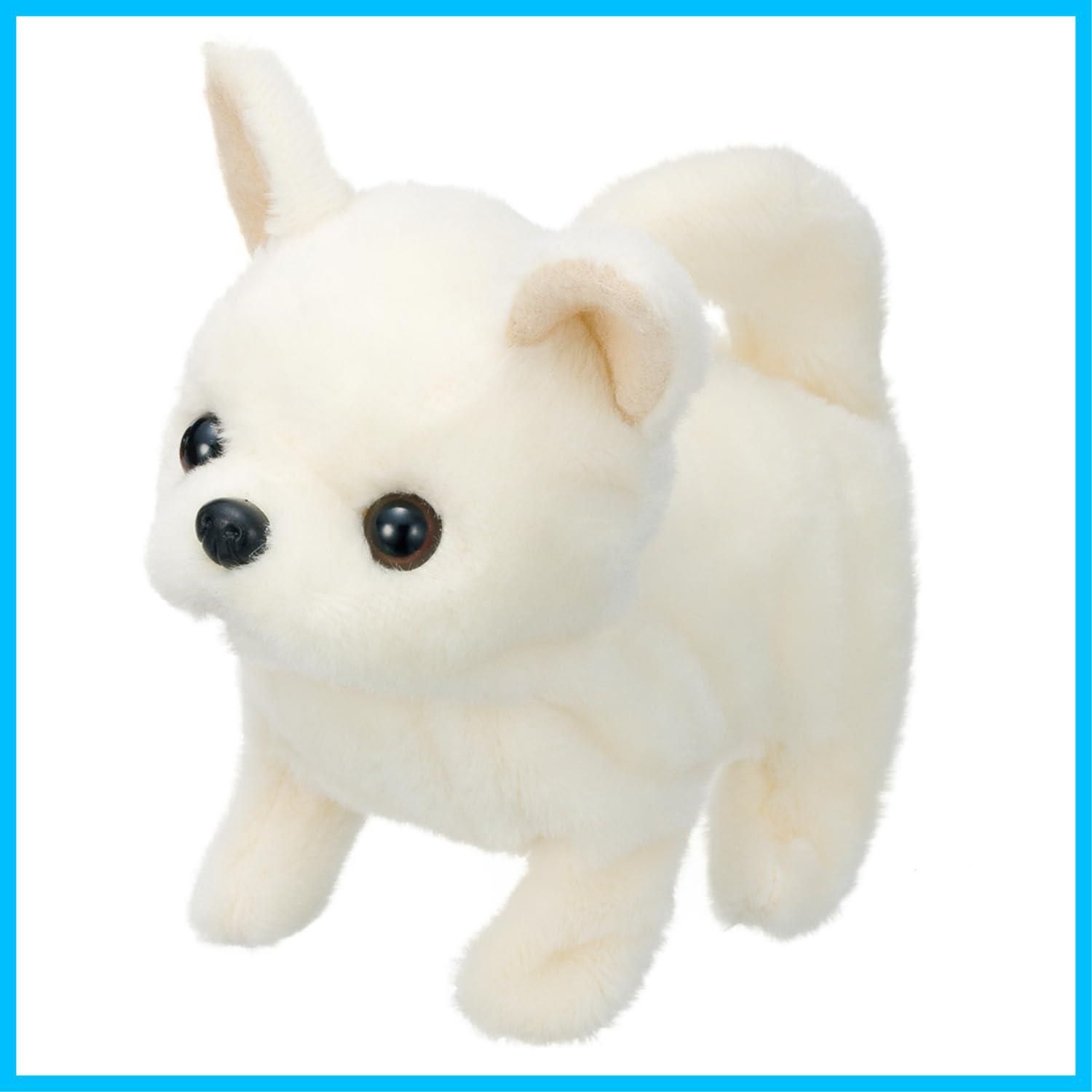 ☆palpal様専用☆タカネクジャクアゲハ ♀標本 ☆北ビルマ産☆大型美麗