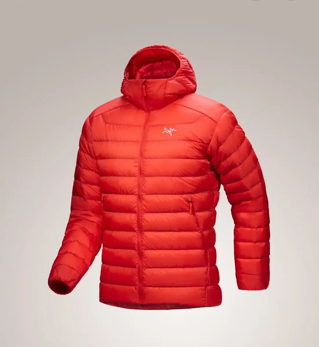 ARC TERYX Cerium LT Dynasty S