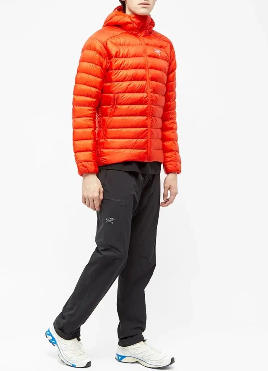 ARC TERYX Cerium LT Dynasty S