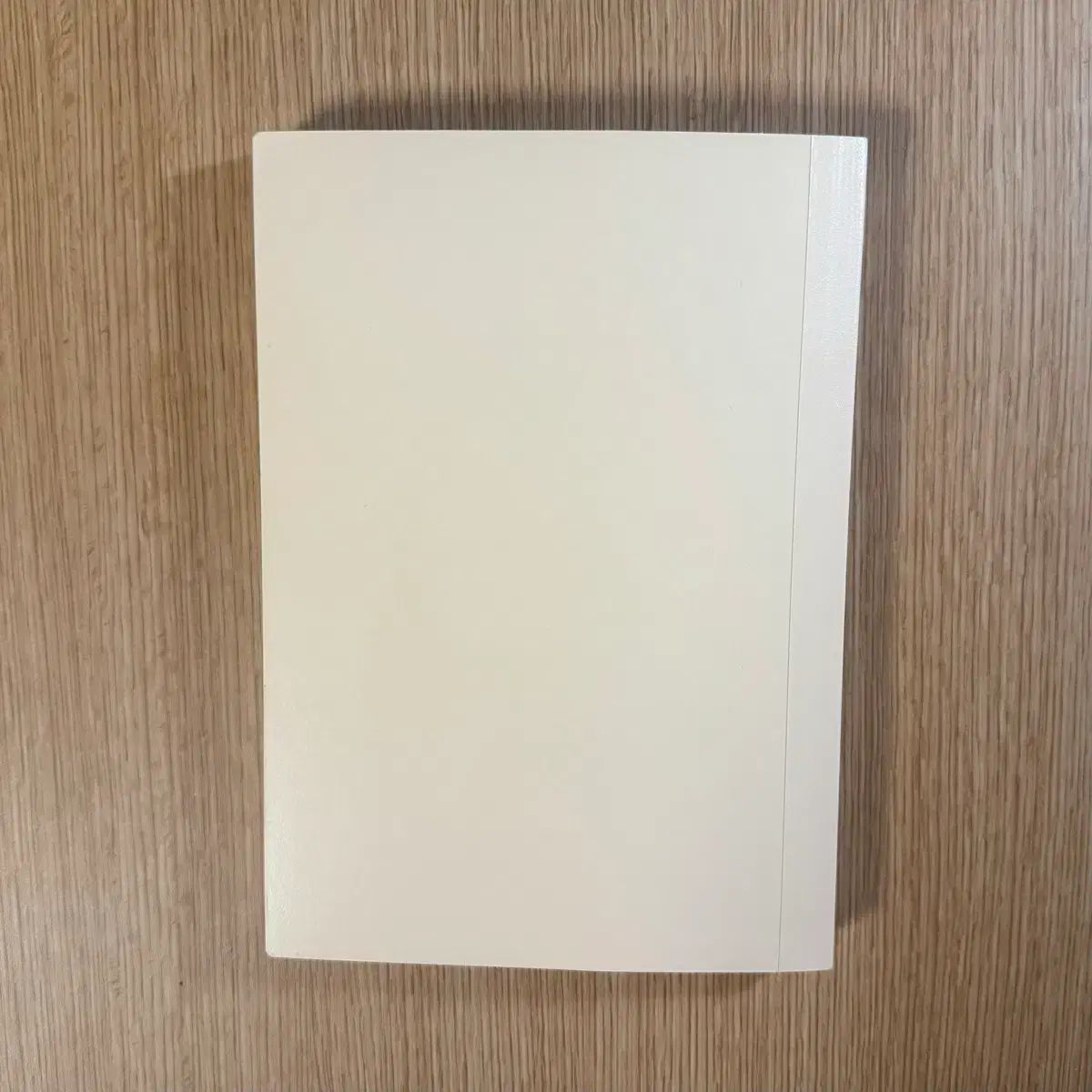 ほぼ日 オリジナル カズン サイズ a 5