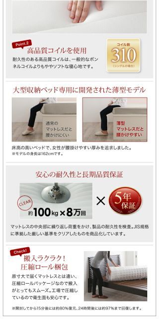 ベッド 収納付きベッド フィッツ マットレス付き 収納 収納付 収納ベッド 大容量 収納ボックス 引き出し 布団 敷き布団 おしゃれ 薄型プレミアムボンネルコイルマットレス付 引き出しなし ベッド マットレス付き フィッツ おすすめ 安い ディノス