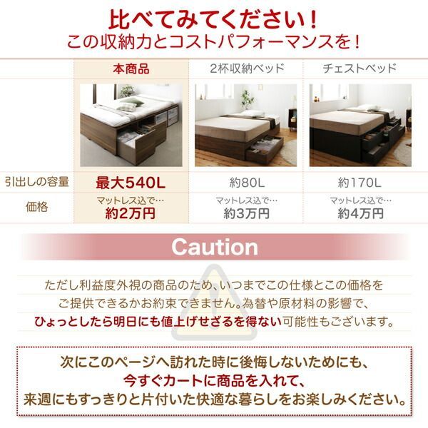 ベッド 収納付きベッド フィッツ マットレス付き 収納 収納付 収納ベッド 大容量 収納ボックス 引き出し 布団 敷き布団 おしゃれ 薄型プレミアムボンネルコイルマットレス付 引き出しなし ベッド マットレス付き フィッツ おすすめ 安い ディノス