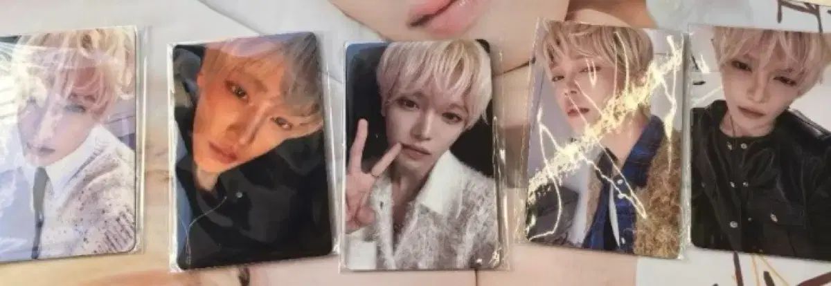 장한음 チャン ハンユン 杭州 こうしゅう ファンミーティング トレカセット