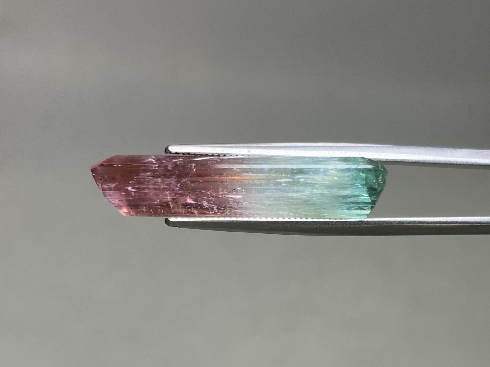 パーティーカラードトルマリン 天然 17.504ct 中央宝石ソーティング