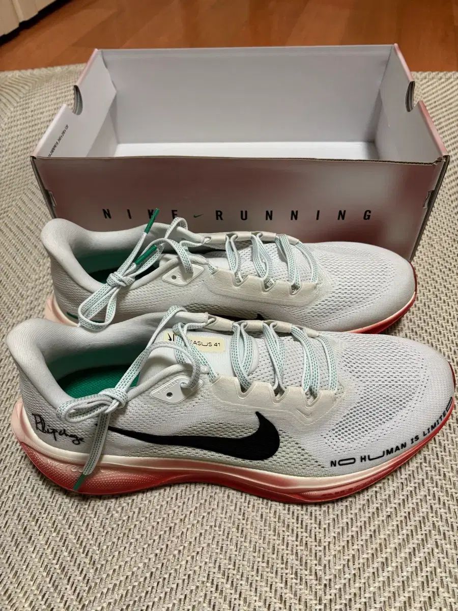 295 NIKE ペガサス 41 エルウッド キプチョゲ ランニングシューズ