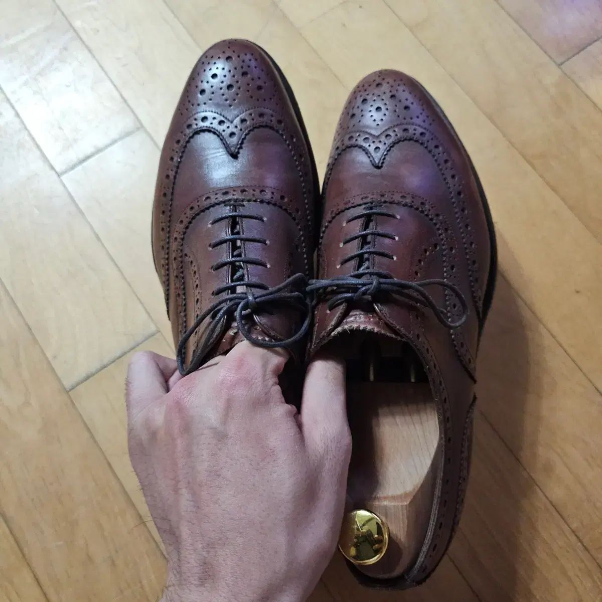 ヘリテージリーガル Seven マンチェスター ウイングチップ ブラウン