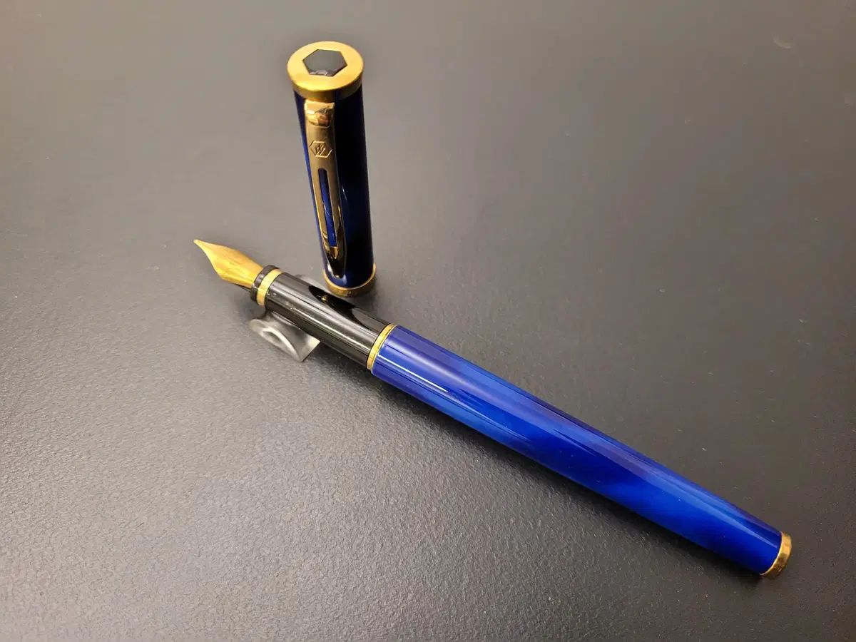 万年筆 ウォーターマン フリーフェイス ロマンスブルー Fニブ