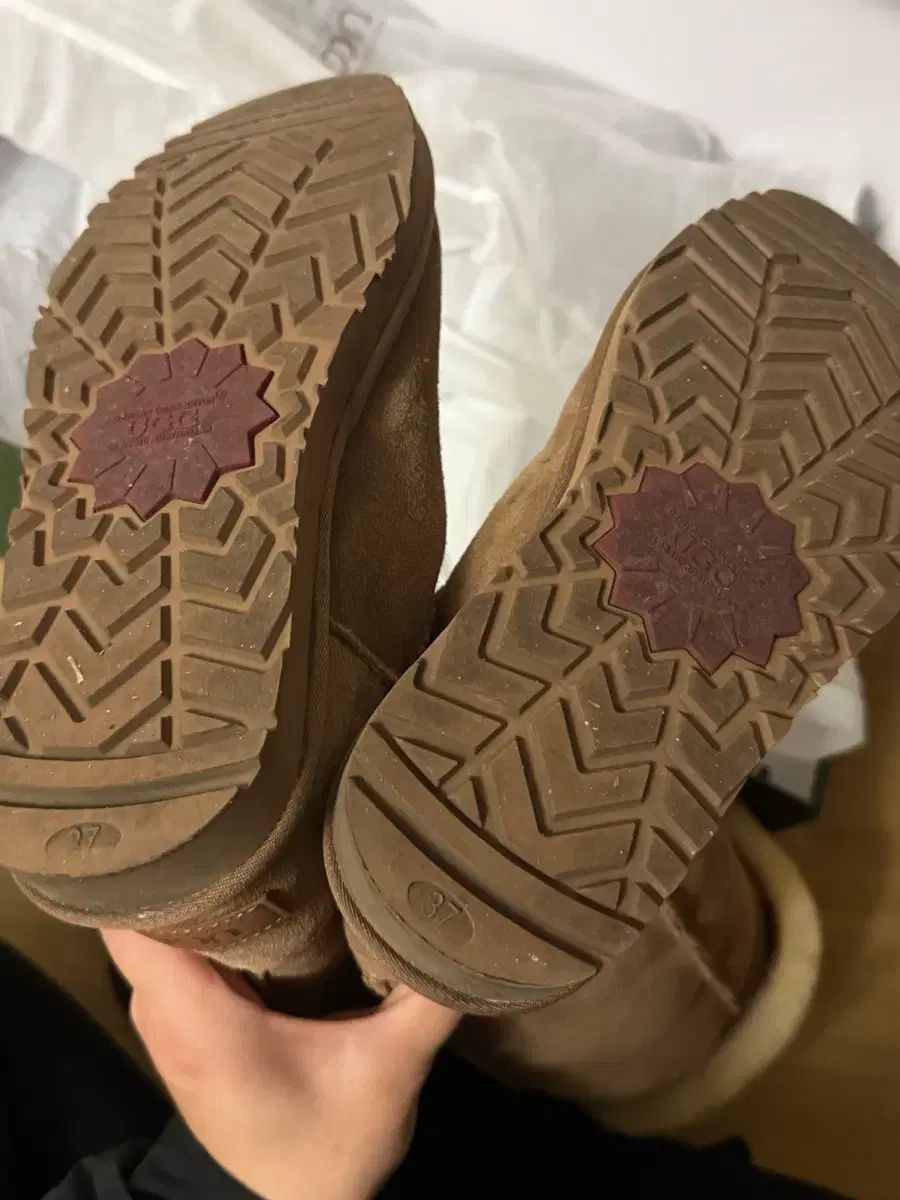  オーストラリア UGG ニーハイ ベイリー ボタン その他 ブーツ