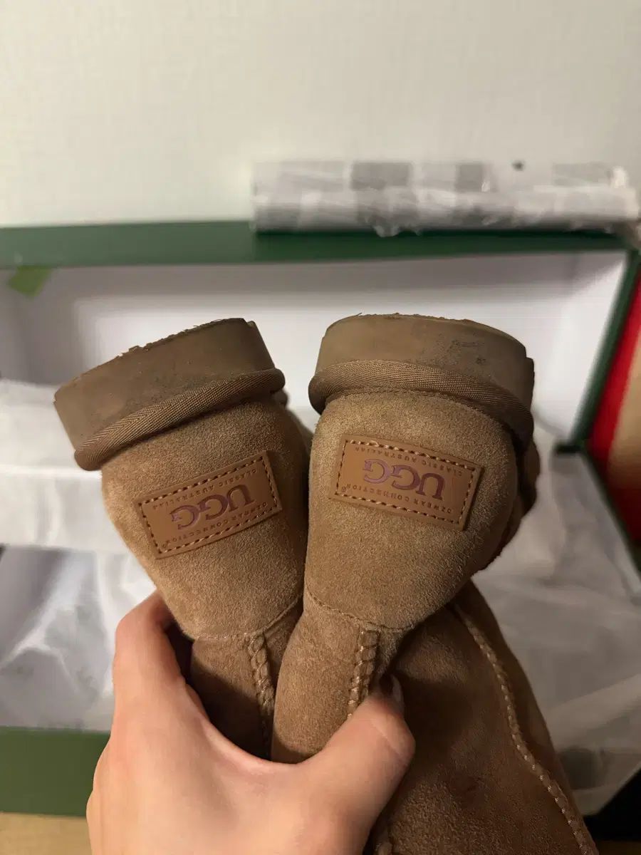 ニーハイ ベイリー