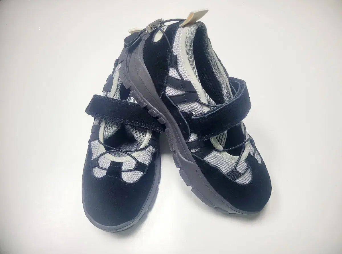 ロックフィッシュ グロウニー