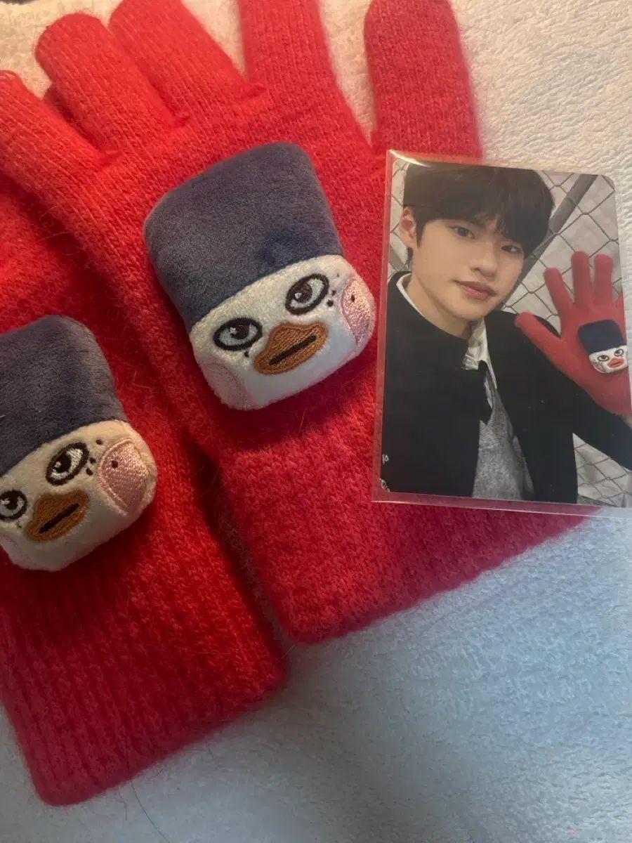 【先着】直筆サイン入りチェキ 菅井友香 先着】直筆サイン入りチェキ 菅井友香