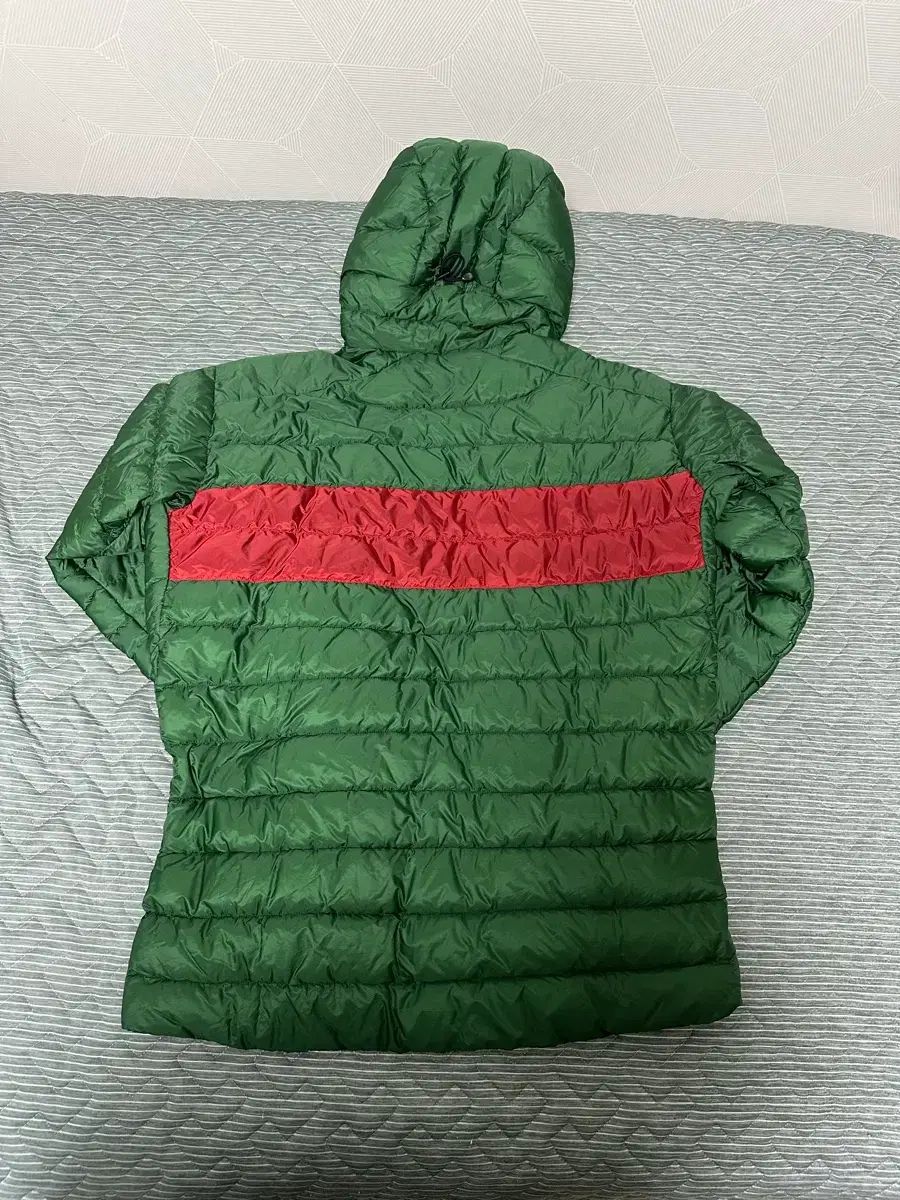 アークテリクス セリウム LT フーディ リーギア