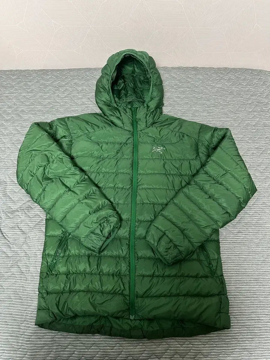 アークテリクス セリウム LT フーディ リーギア