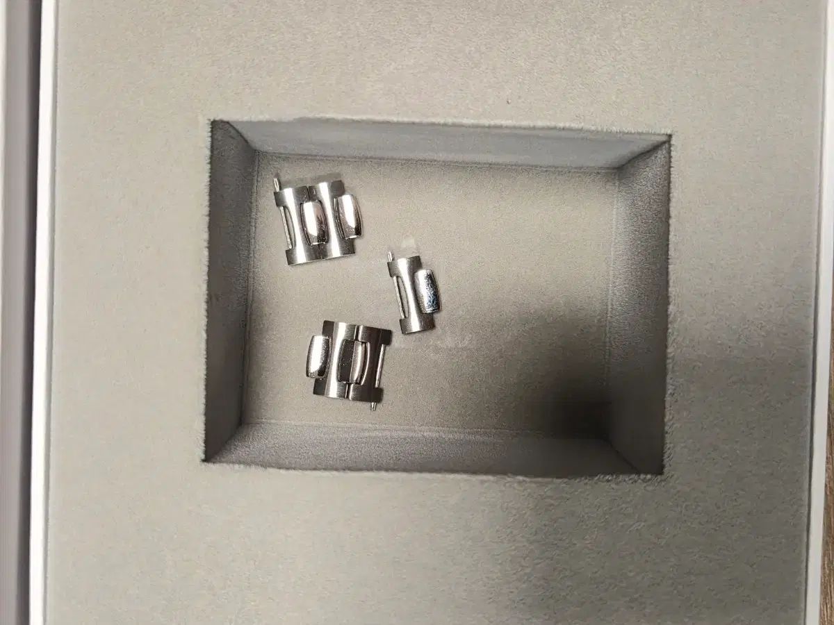  ヴェネチアニコ ネレイデ タングステン 39mm 大人向け 自動巻き時計 腕時計(アナログ)