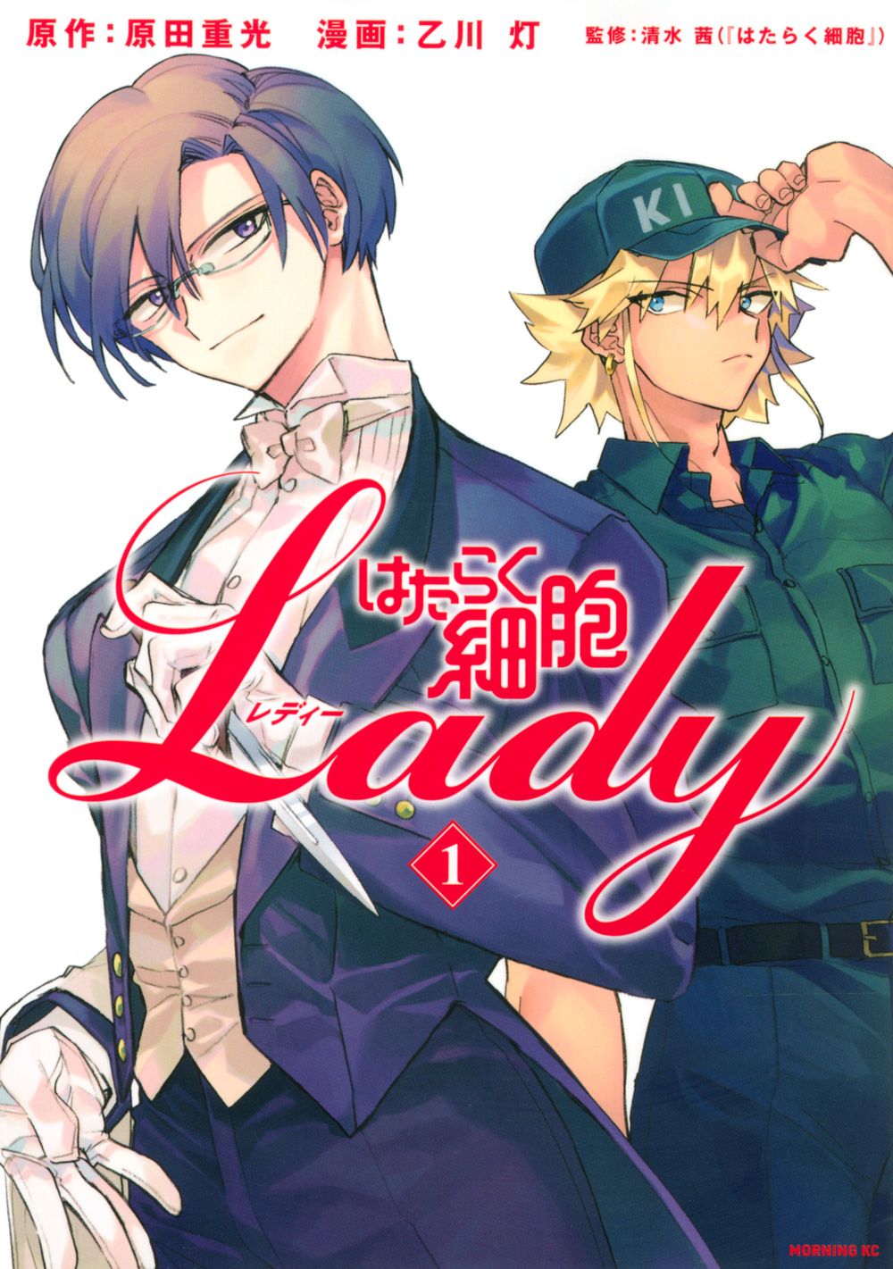 はたらく細胞LADY コミック 全5巻セット（コミック） 全巻セット