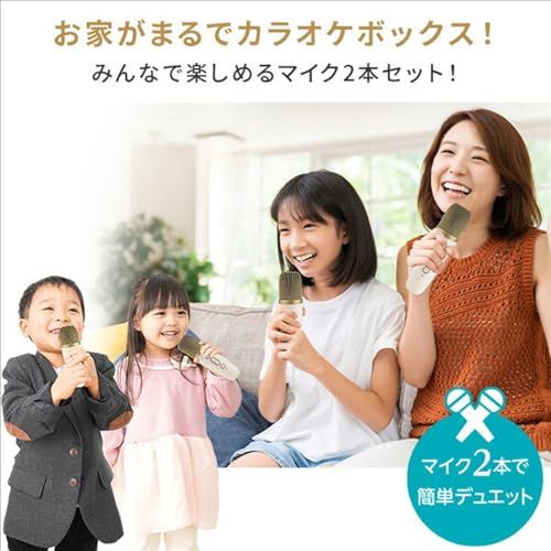 カラオケマイク2本付き ホームカラオケ