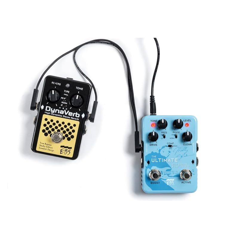 EBS イービーエス ICY-30 インサーション・ケーブル【国内正規品】 0