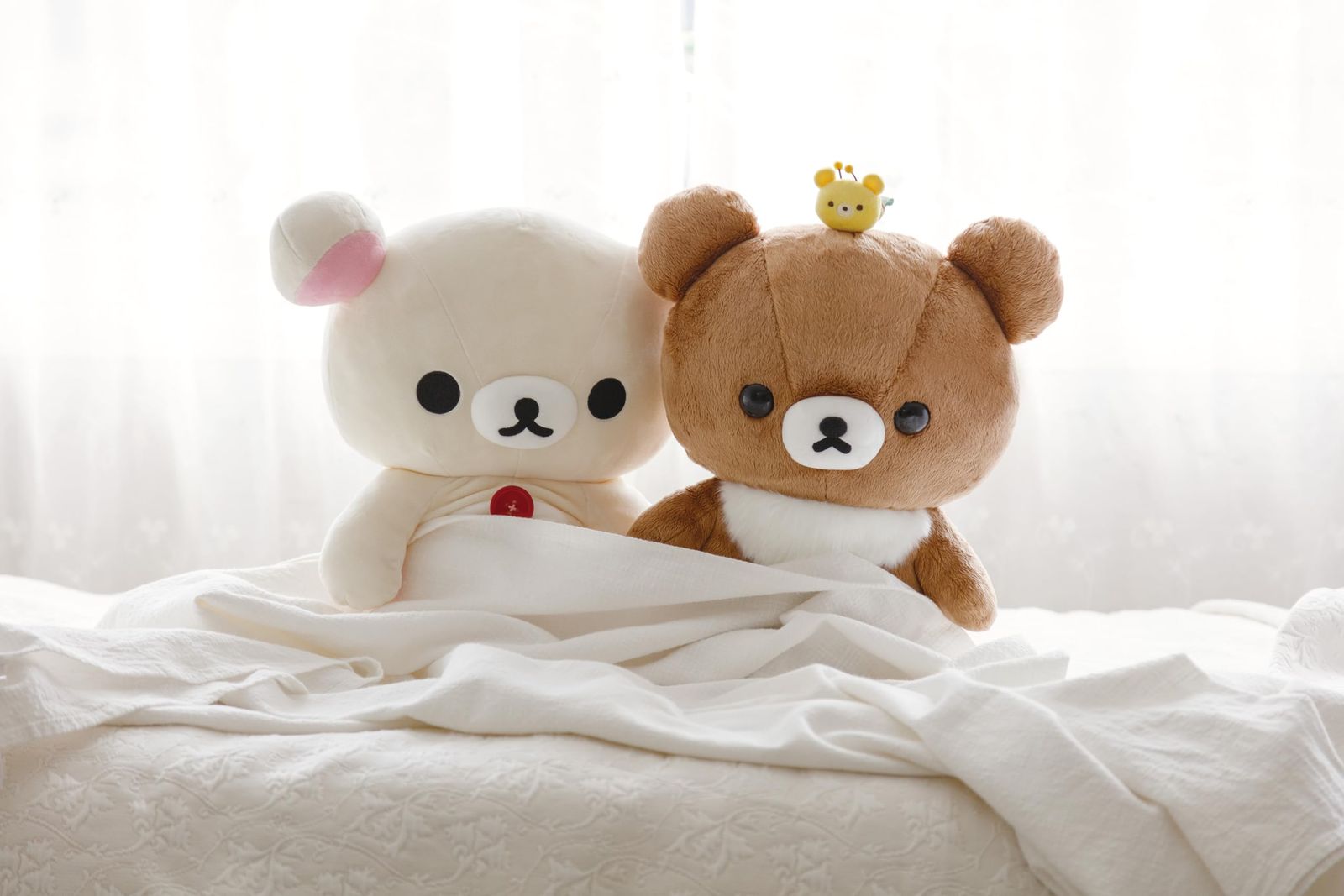 リラックマ ぬいぐるみ コリラックマ L MR75801 [L] [コリラックマ] ぬいぐるみ リラックマ コリラックマ リラックマ(リラックマ)☆ぬいぐるみ こぐまちゃん ぬいぐるみlの通販