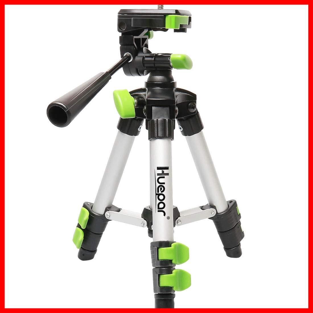 サルタレッリ風 猫足 円形 テーブル ダイニングテーブル