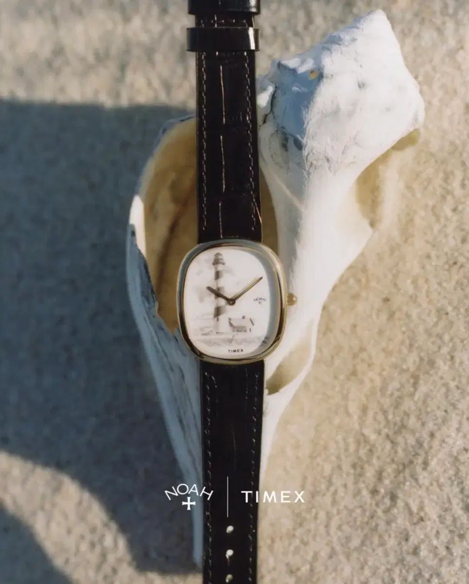 TIMEX x NOAH コラボ ライト ハウス ヴィンテージ 時計