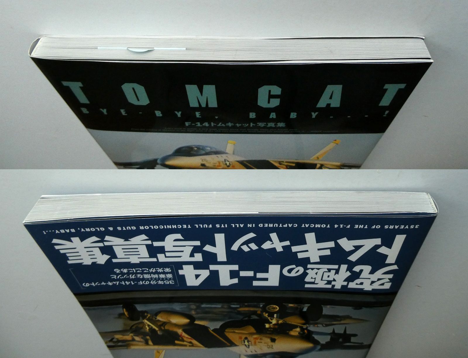 中古】 F-14トムキャット写真集 Bye Bye Baby 大型本 – 2017/7/31