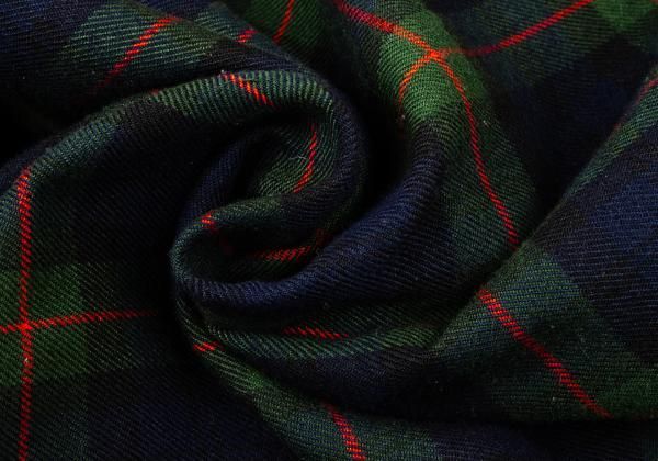 コムデギャルソンオムプリュス エバーグリーン バイアスタータン