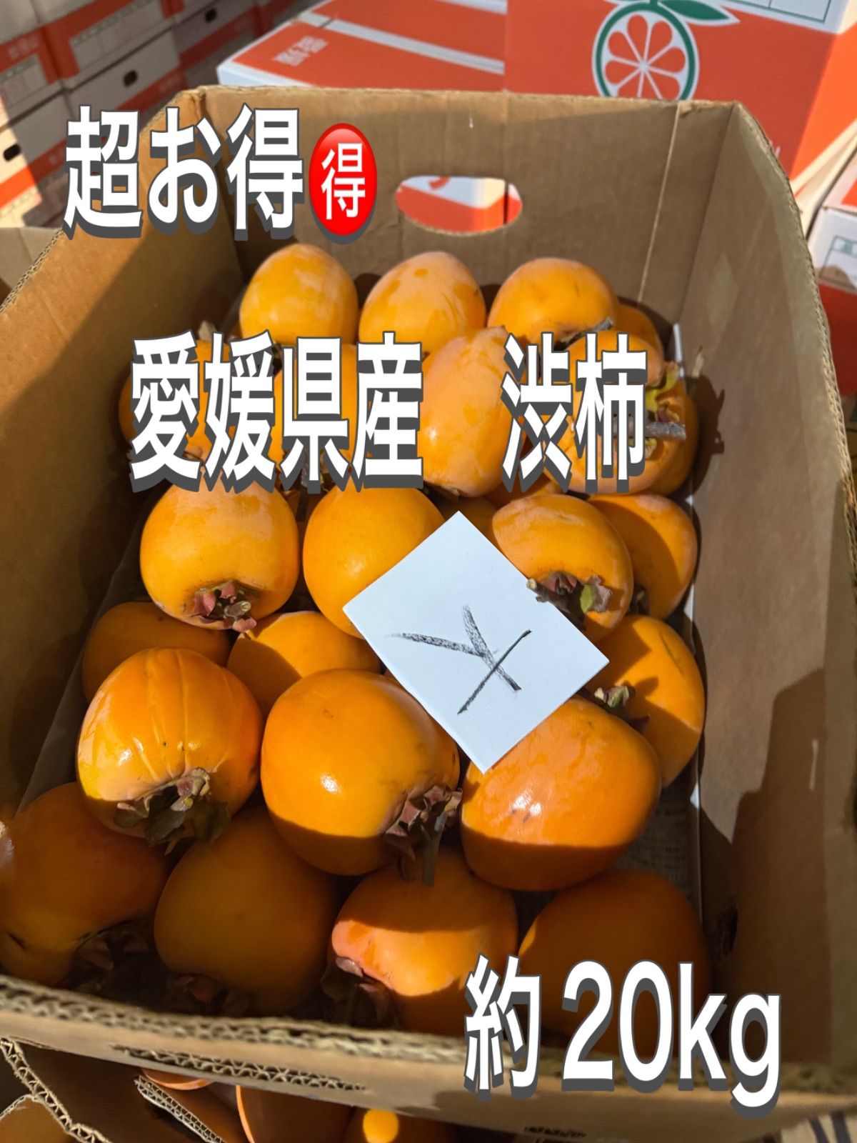 愛媛県産 渋柿 20kg 大サイズ 新品＊送料無料 - メルカリ