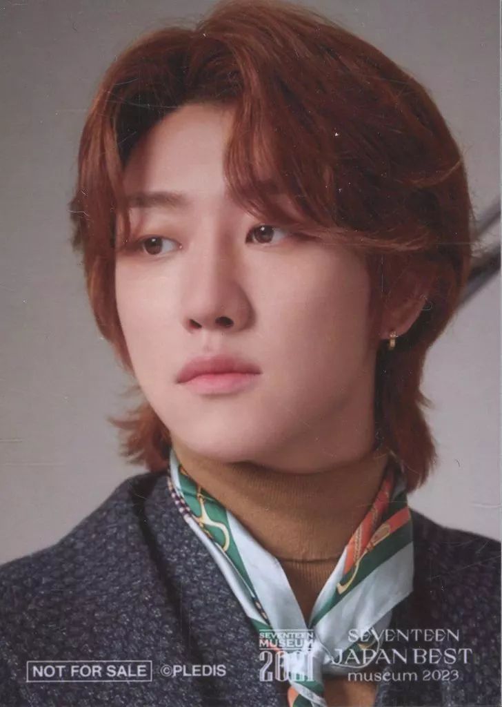 seventeen THE8 ディエイト　生写真　ブロマイド 中古】生写真(男性) SEVENTEEN/THE 8(ディエイト)/サイズ(64mm×45mm