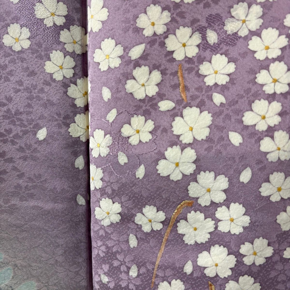 訪問着 身丈164cm 裄丈66.5cm M 袷 菅有鬼一 落款 枝花 花びら 金彩