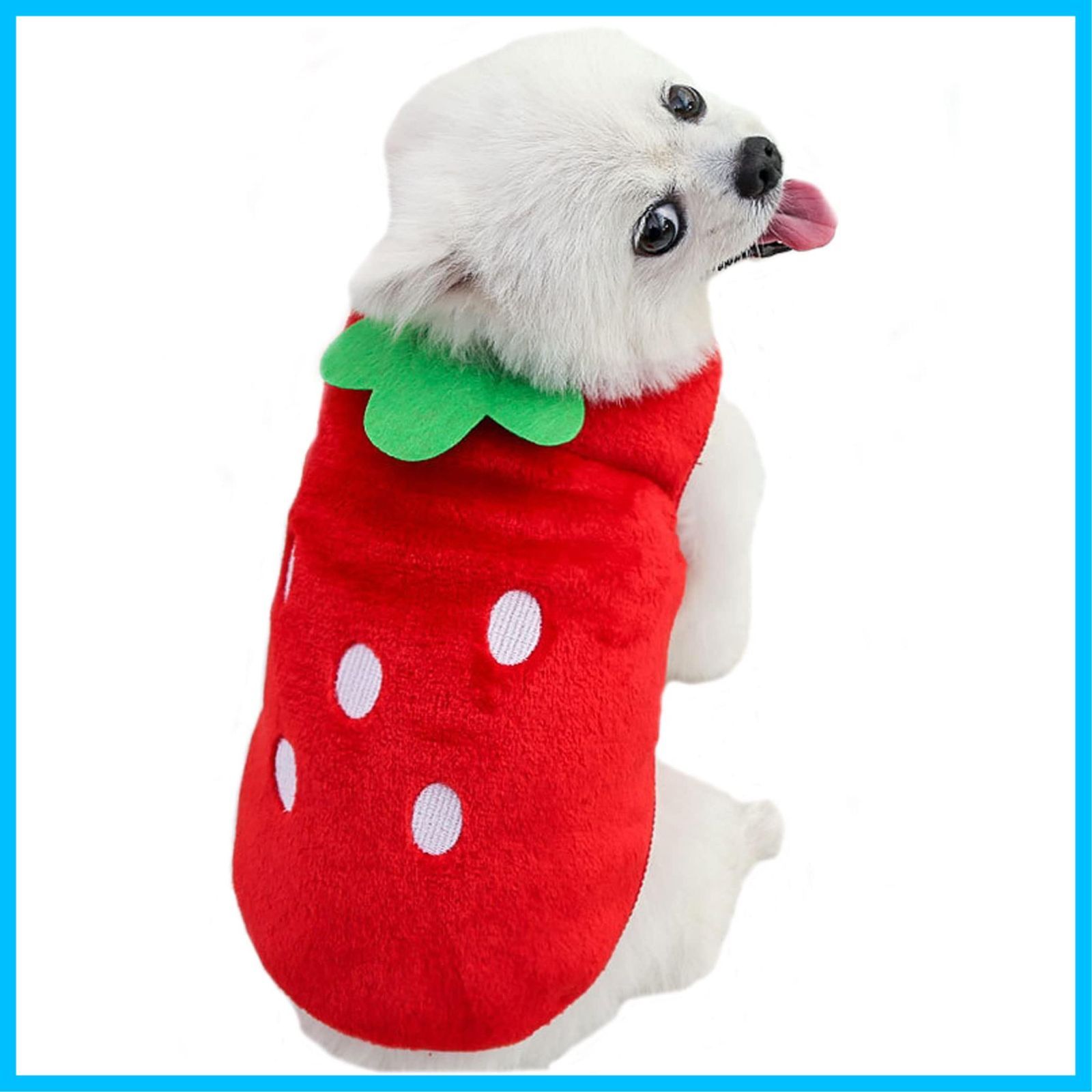 特価商品】ふく福 可愛い ペット犬服 Tシャツ 秋冬衣装 柔らかい