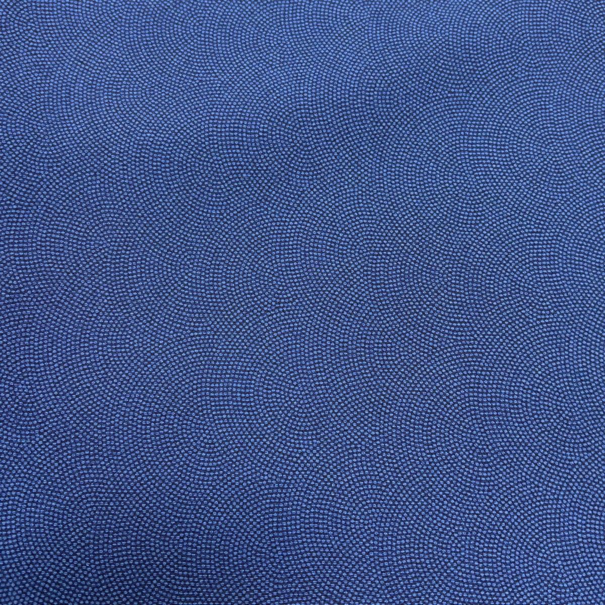 江戸小紋 身丈158.5cm 裄丈64.5cm M 袷 金子正 落款 鮫 藍色 正絹 名品