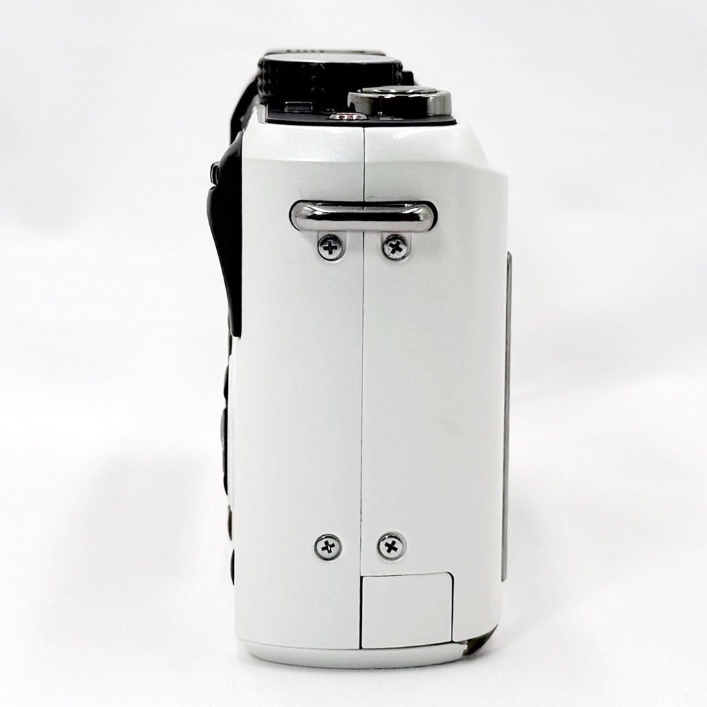 パナソニック Panasonic DMC-GF1 ボディ シェルホワイト ミラーレス