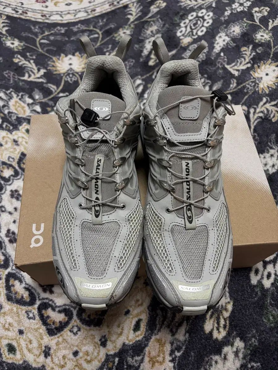 サロモン ACS プロ ADV メタル プロスト グレー 290