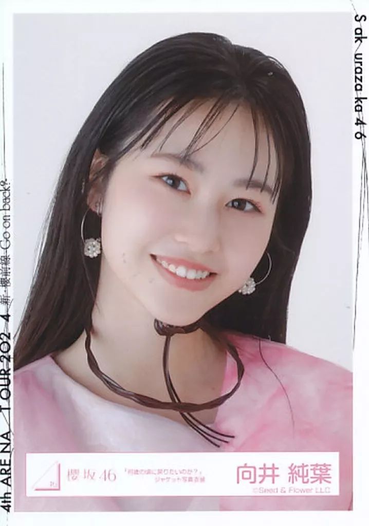 中古】生写真(乃木坂46) 向井純葉/バストアップ/櫻坂46ランダム生写真