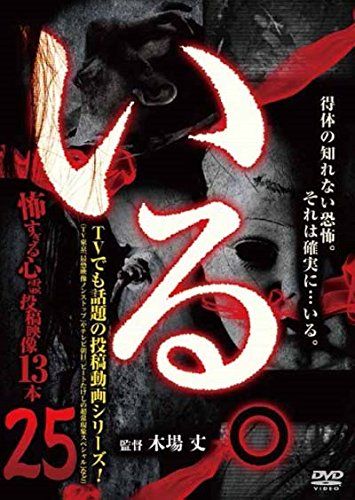 いる 怖すぎる投稿映像13本 Vol 25 DVD 品