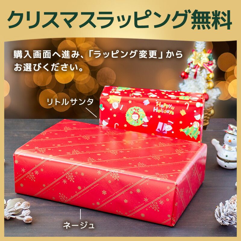 ラッピング無料 学研 ニューブロック ボリューム500 大容量500パーツ 知育玩具 おもちゃ 2歳 3歳 4歳 幼児 小学生 ギフト プレゼント 入園祝い 入学祝い