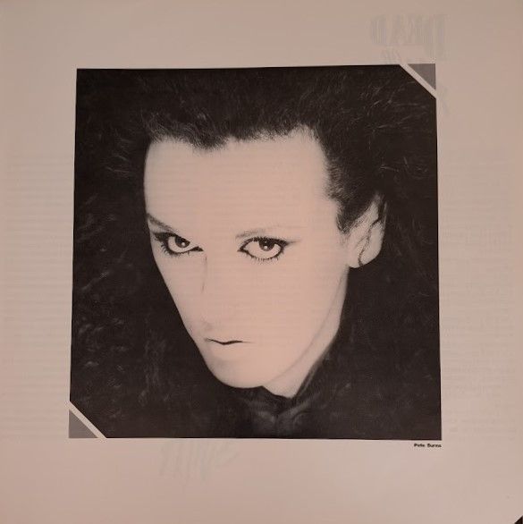 DEAD OR ALIVE デッド オア アライブ YOUTHQUAKE ユースクエイク 中古