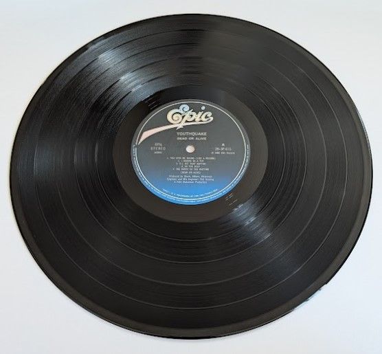 DEAD OR ALIVE デッド オア アライブ YOUTHQUAKE ユースクエイク 中古