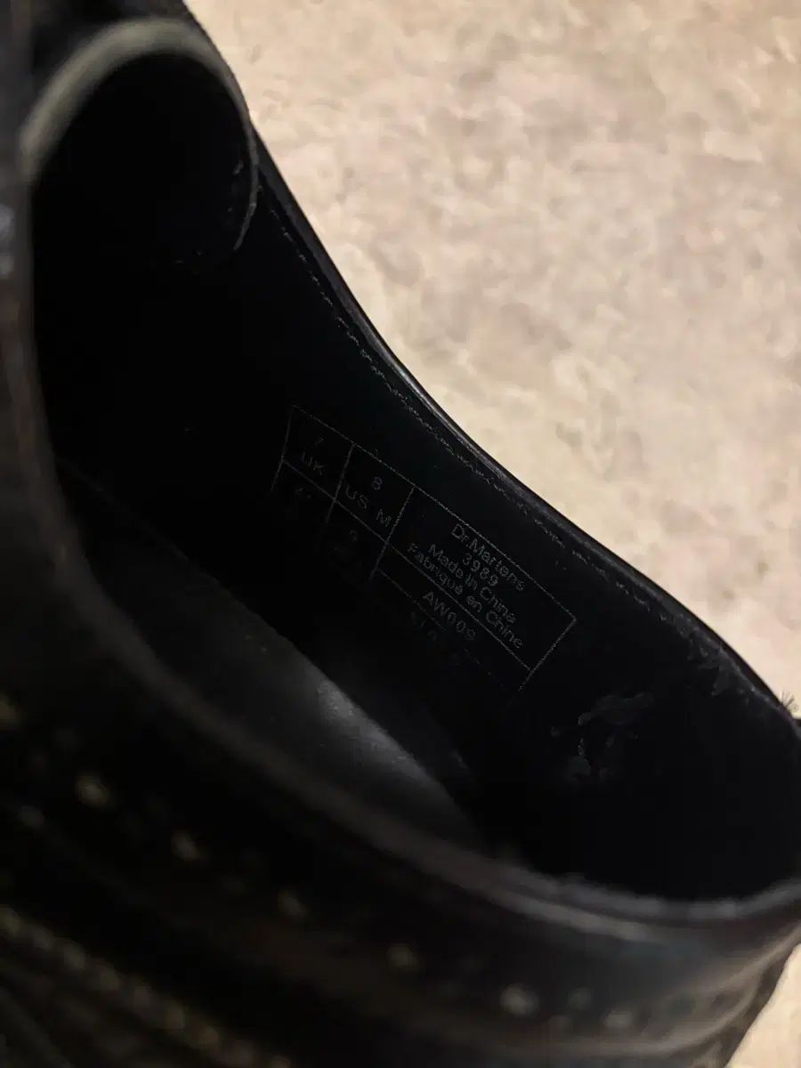 ウイングチップ 260