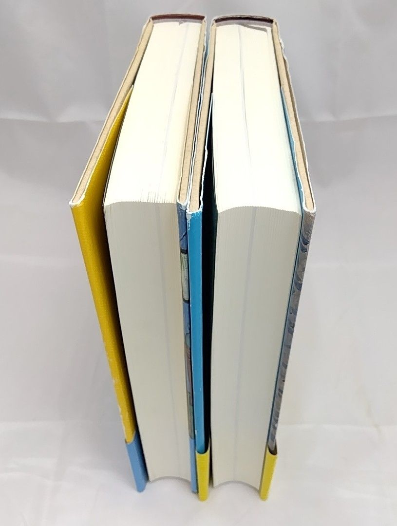 帯付き】 ファン・ゴッホの生涯 上下巻セット - メルカリ