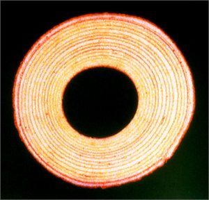 CD バームクーヘン - THE HIGH-LOWS