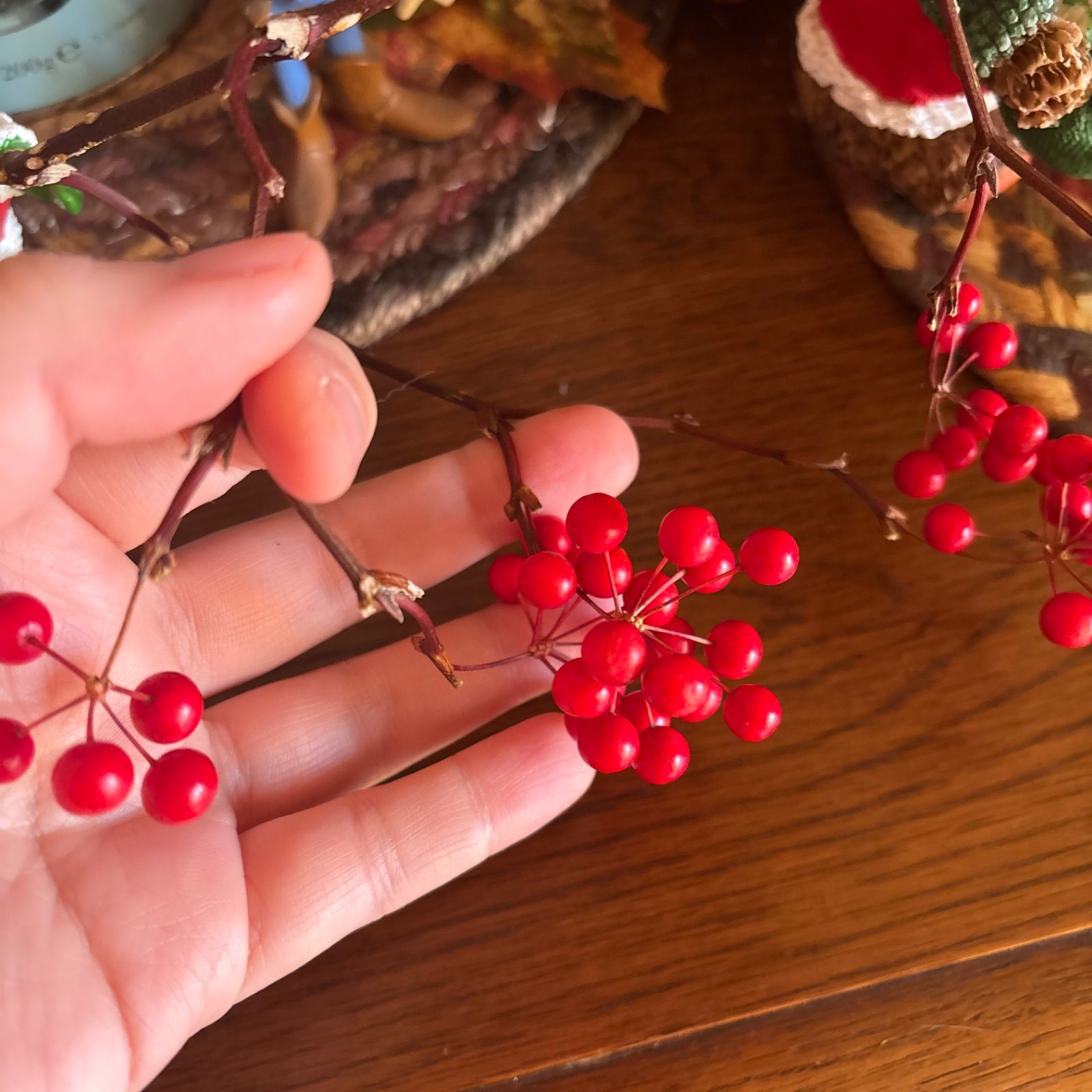 サンキライ(サルトリイバラ) 実付きが可愛い枝 約30cm ボタニカル