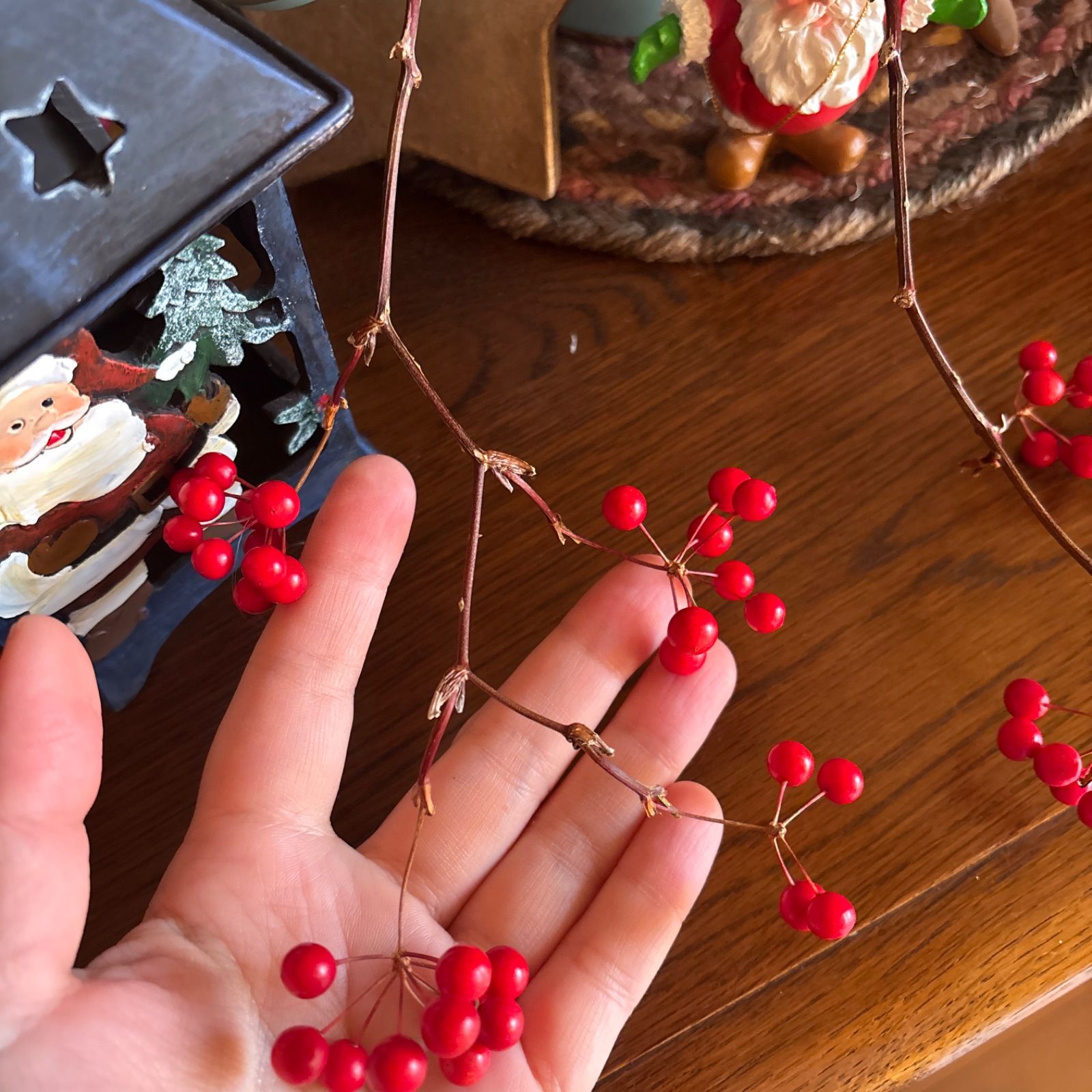 サンキライ(サルトリイバラ) 実付きが可愛い枝 約30cm ボタニカル