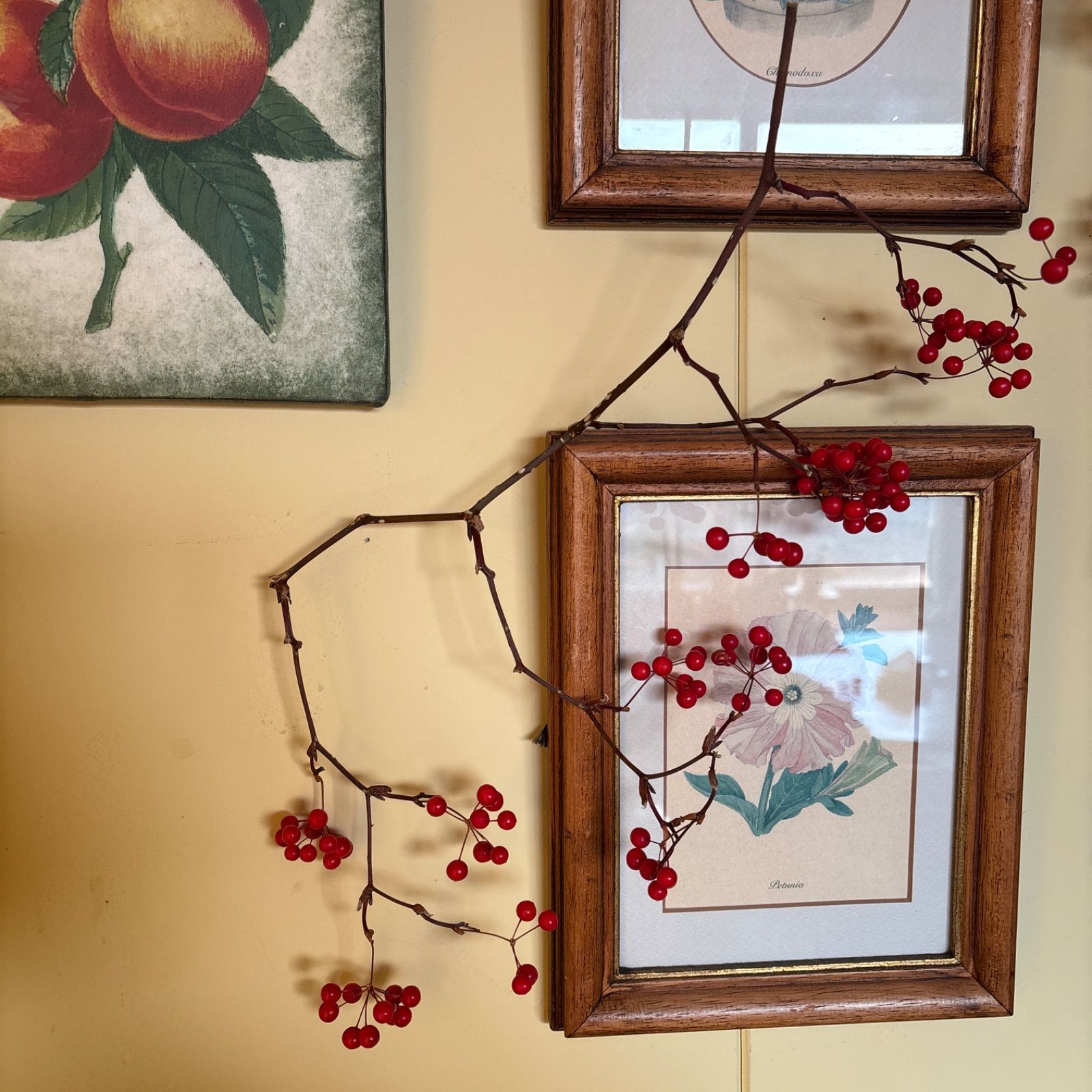 akkeさん専用　　サンキライ(サルトリイバラ) 美しい艶のあるゴージャスな実 サンキライ(サルトリイバラ) 美しい艶のあるゴージャスな実 - メルカリ