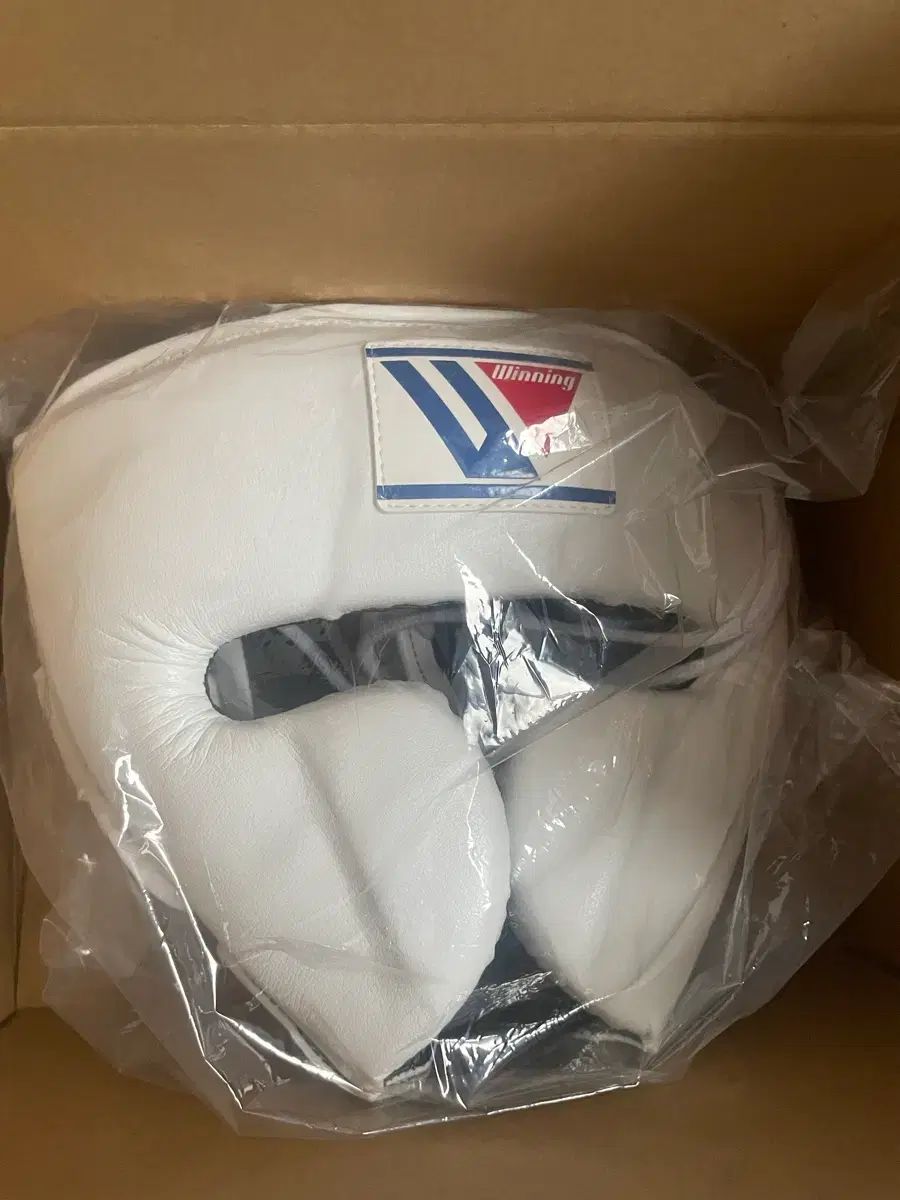 ウィニングヘッドギア 白 L FG-2900